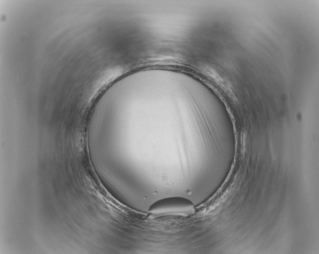 X0000088911405200706291518