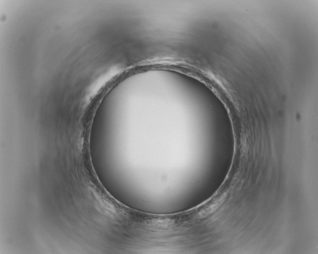 X0000088911406200706291518