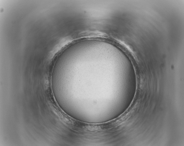 X0000088911407200706291518