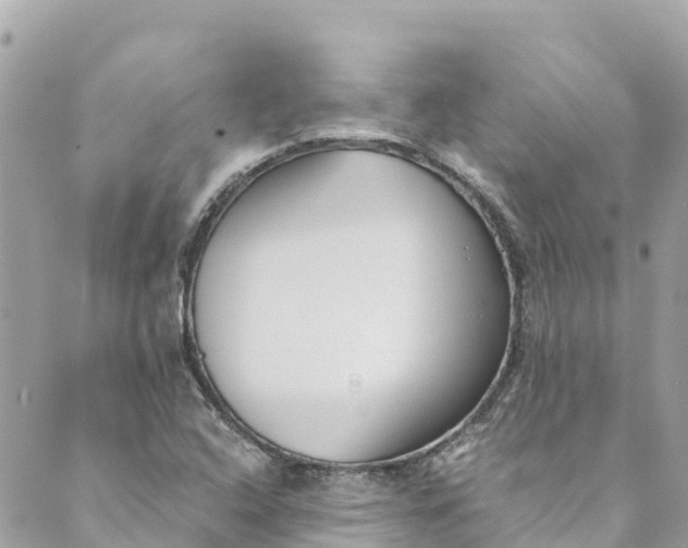 X0000088911408200706291518