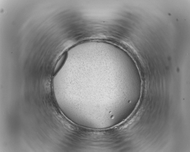 X0000088911409200706291518