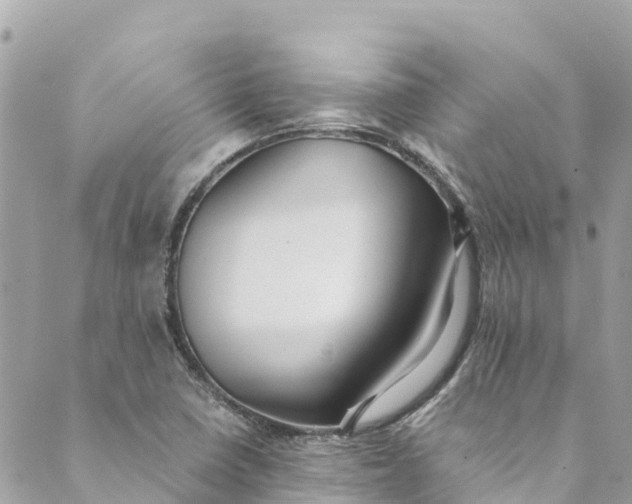 X0000088911410200706291518