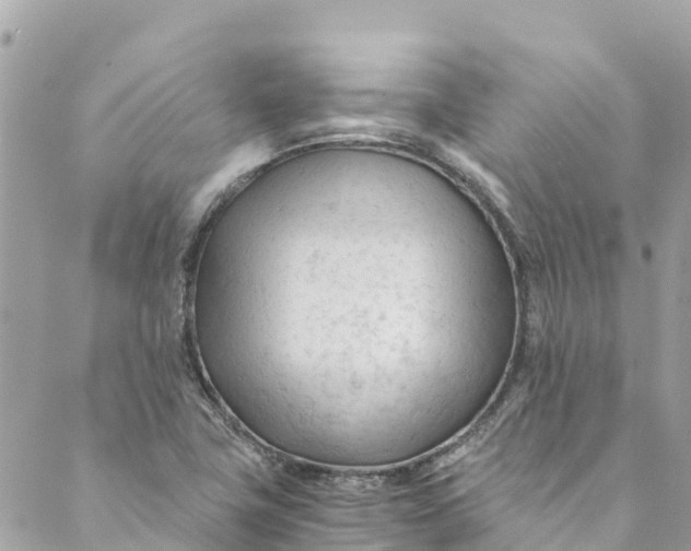 X0000088911411200706291518