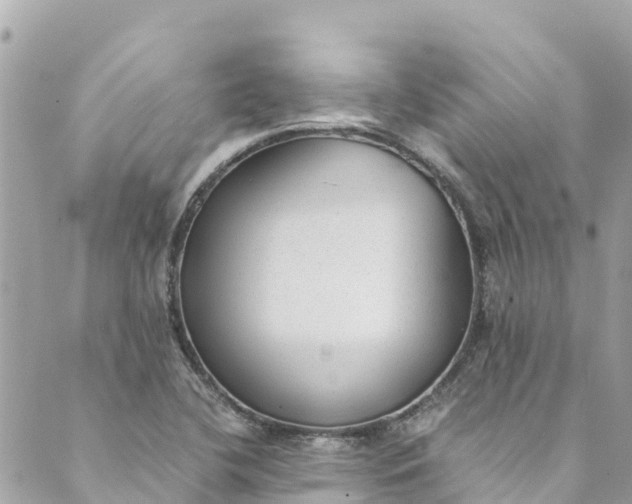 X0000088911412200706291518