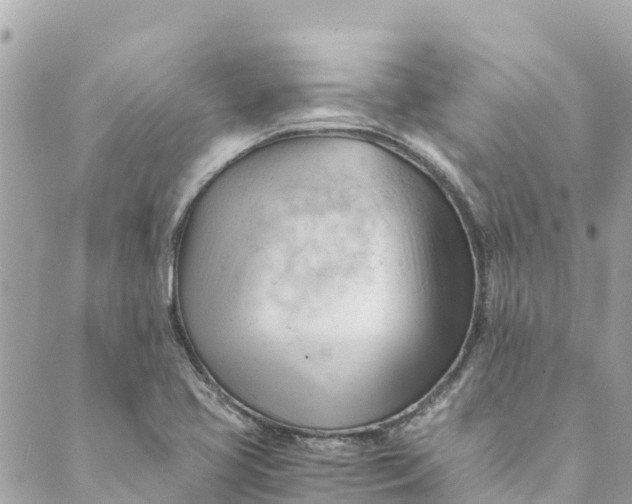 X0000088911413200706291518