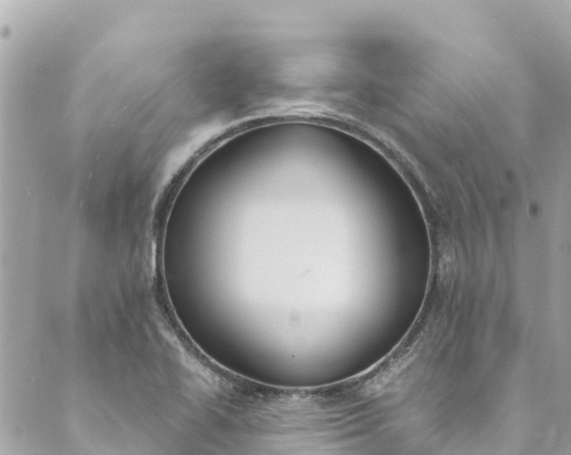 X0000088911414200706291518