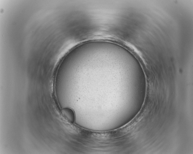 X0000088911415200706291518