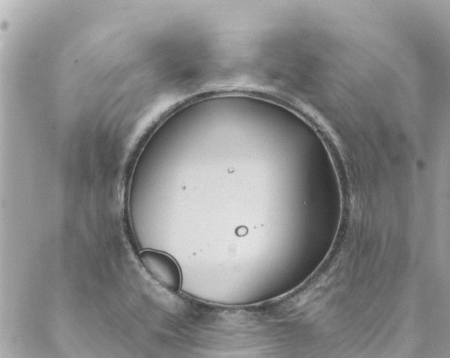 X0000088911416200706291518