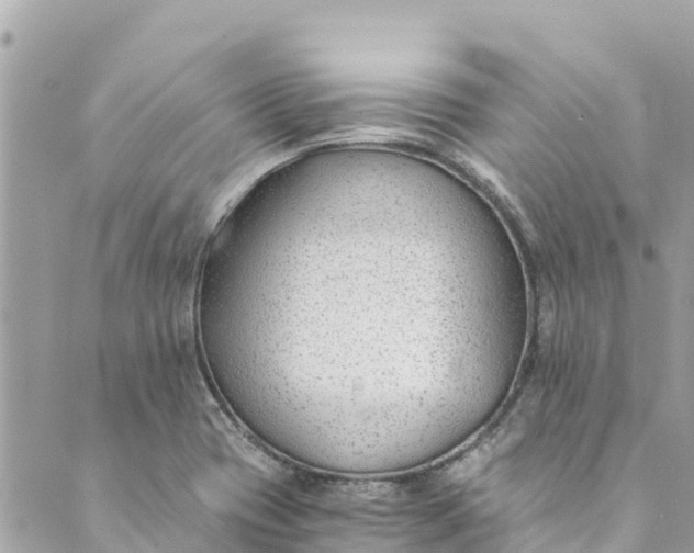 X0000088911417200706291518