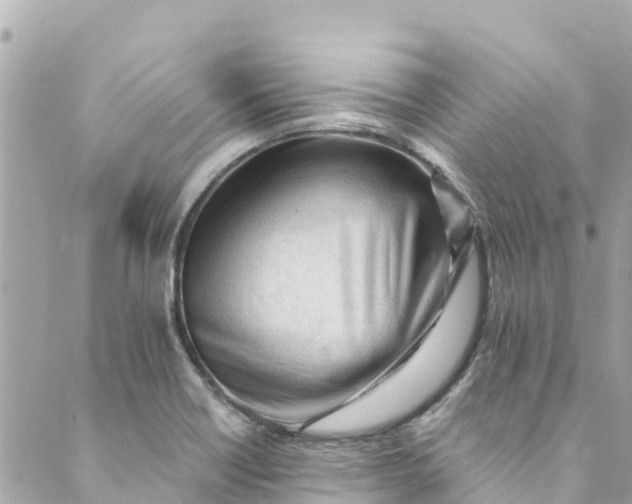 X0000088911418200706291518