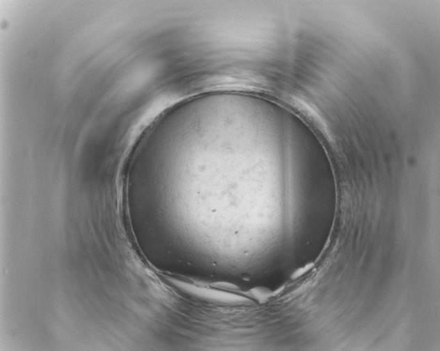 X0000088911419200706291518