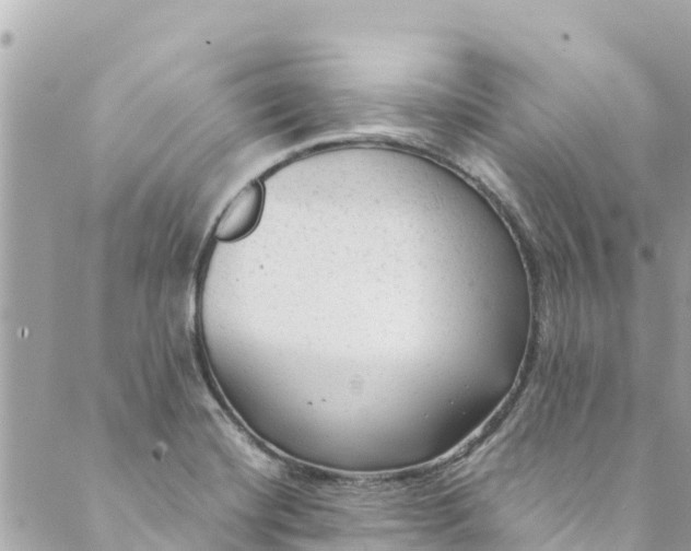 X0000088911420200706291518