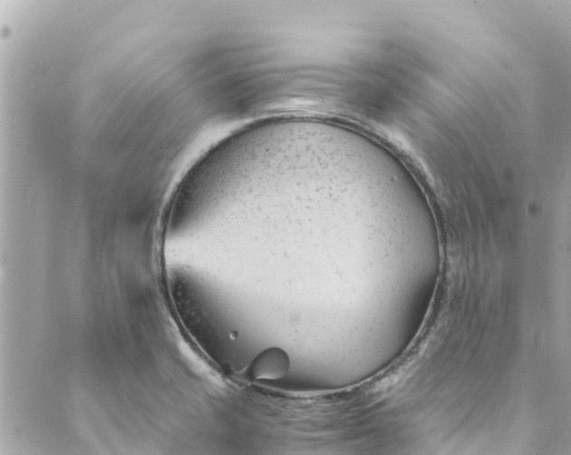 X0000088911421200706291518