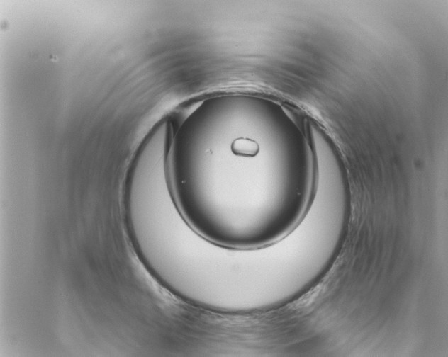 X0000088911422200706291518