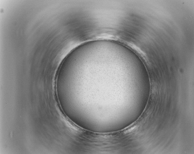 X0000088911423200706291518