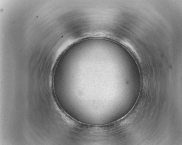 X0000088911424200706291518