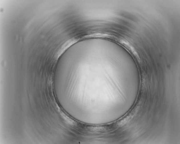 X0000088911425200706291518