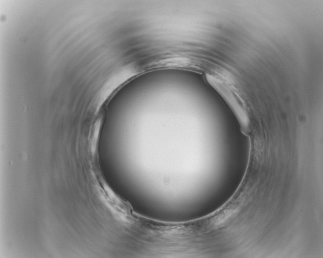 X0000088911426200706291518