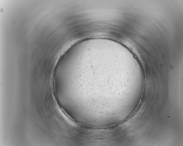 X0000088911429200706291518