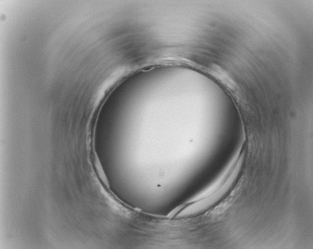 X0000088911430200706291518