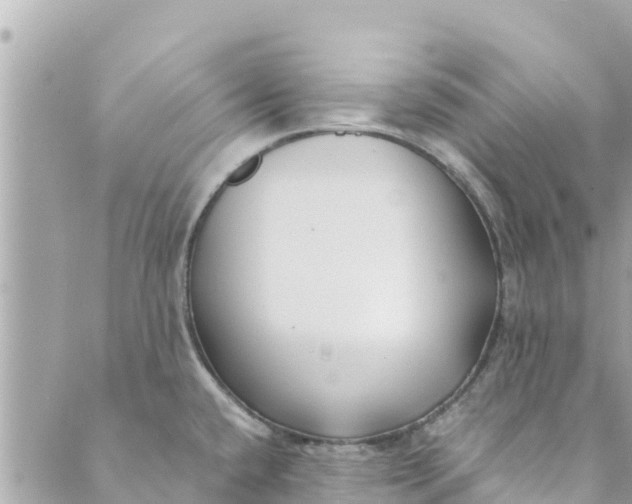 X0000088911432200706291518