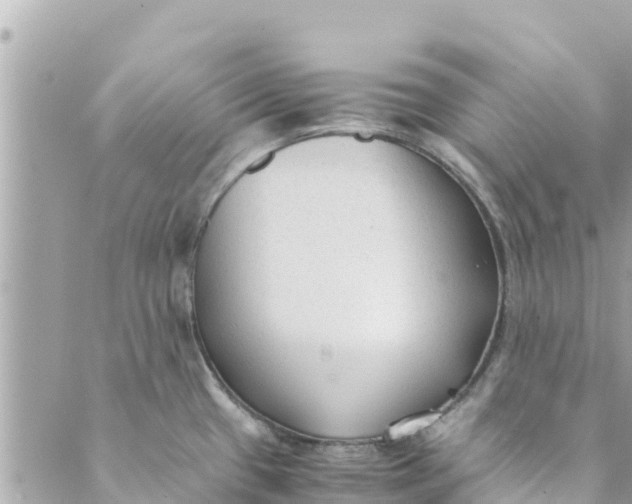 X0000088911433200706291518