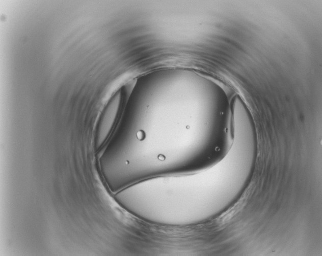 X0000088911434200706291518