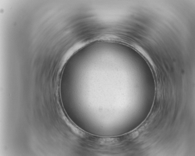 X0000088911437200706291518