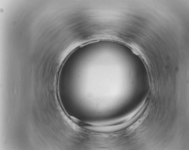 X0000088911438200706291518