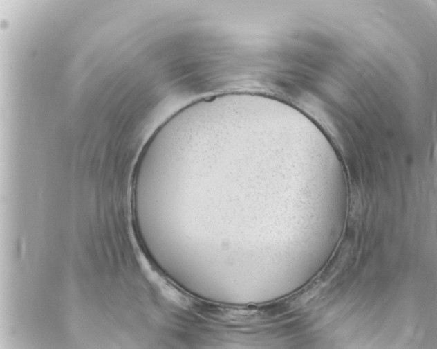 X0000088911439200706291518