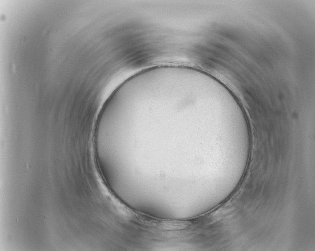 X0000088911440200706291518