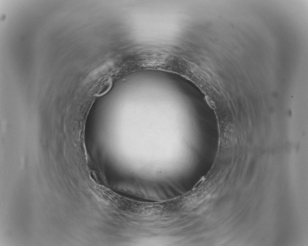 X0000088911441200706291518