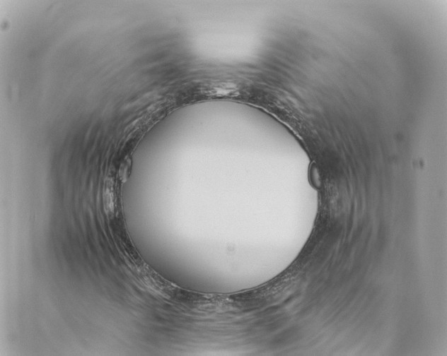 X0000088911442200706291518