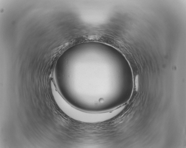 X0000088911443200706291518