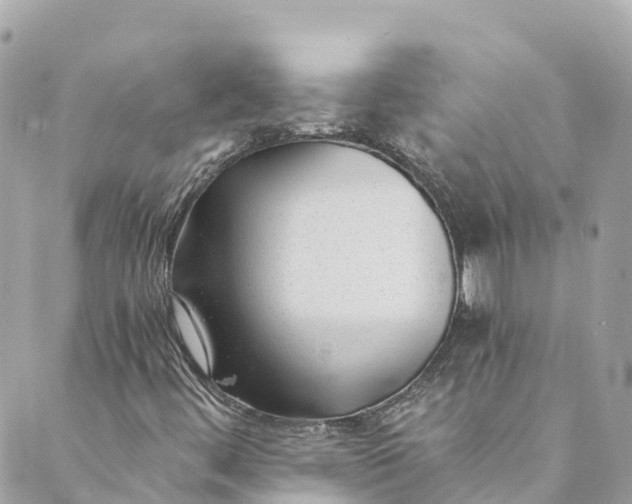 X0000088911444200706291518