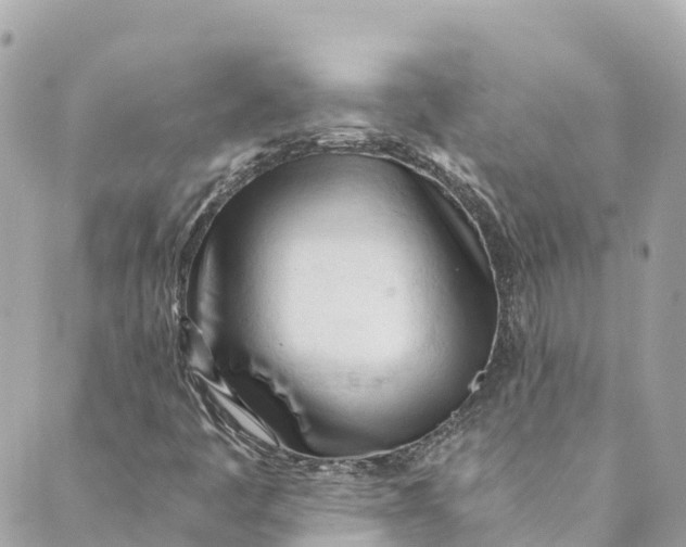 X0000088911445200706291517