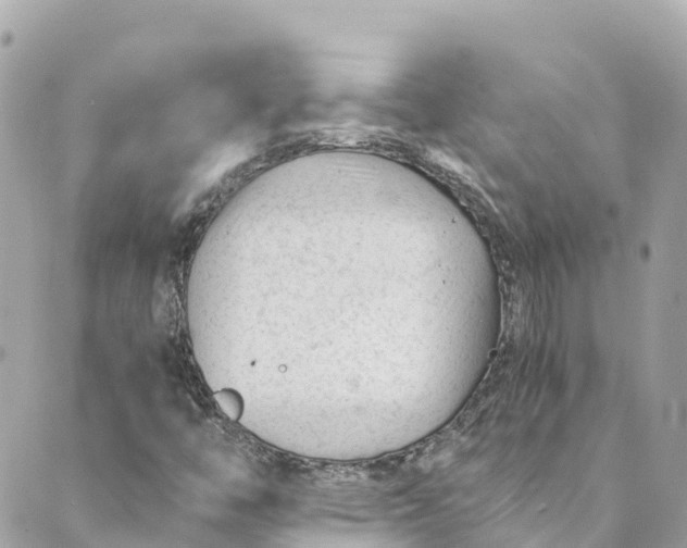 X0000088911446200706291517