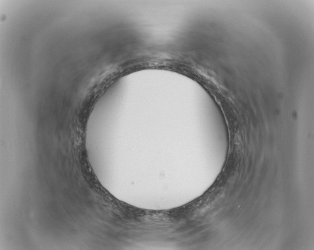 X0000088911447200706291517