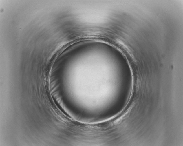 X0000088911449200706291517