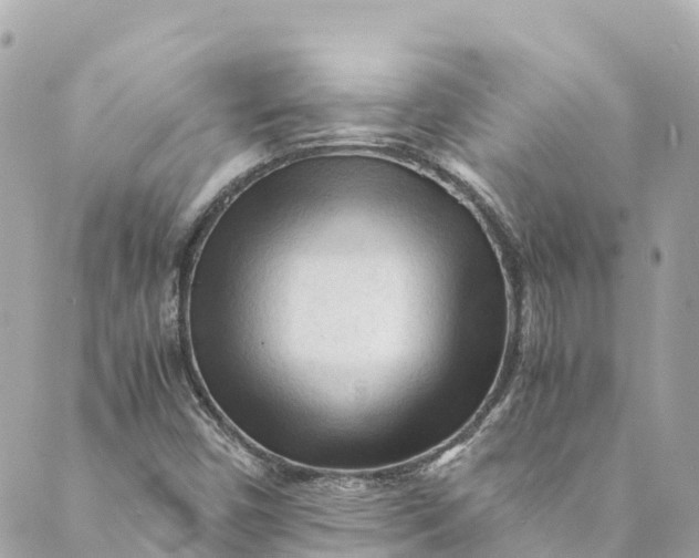 X0000088911450200706291517