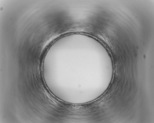 X0000088911452200706291517