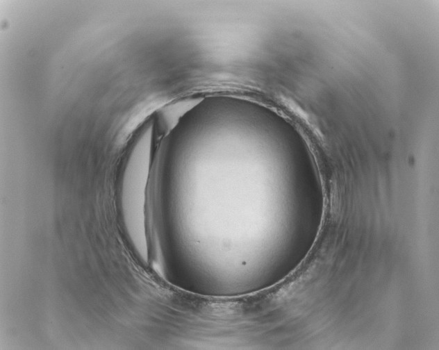 X0000088911453200706291517