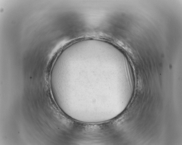 X0000088911454200706291517