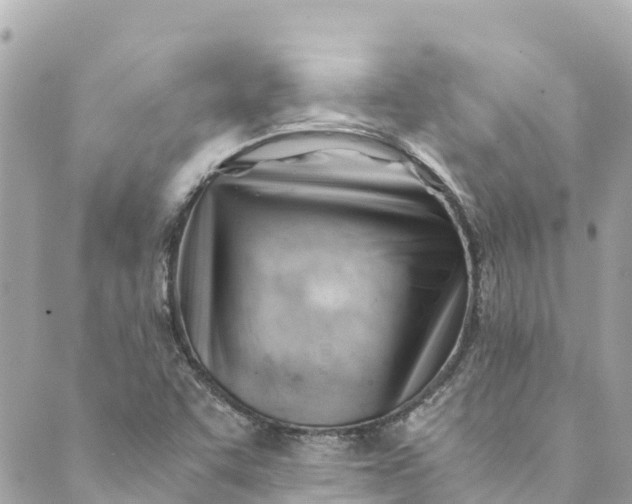 X0000088911455200706291517