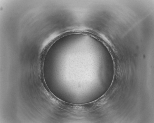 X0000088911456200706291517