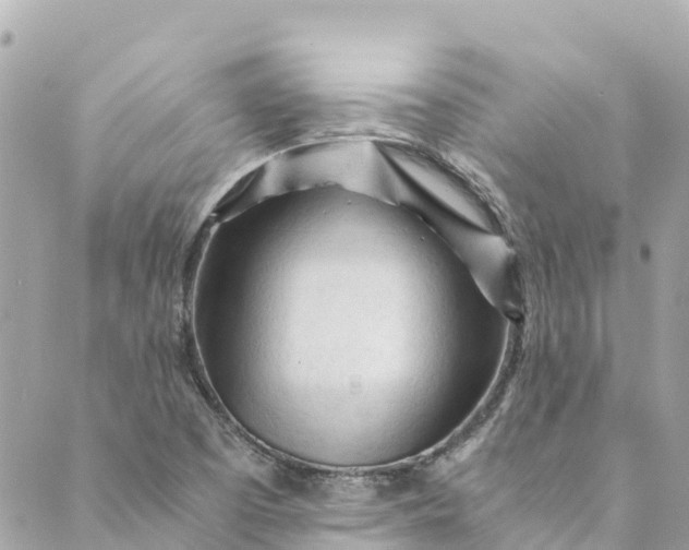 X0000088911457200706291517