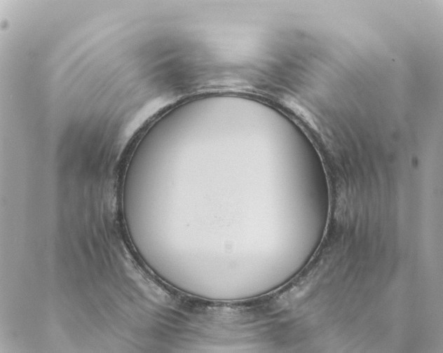 X0000088911458200706291517