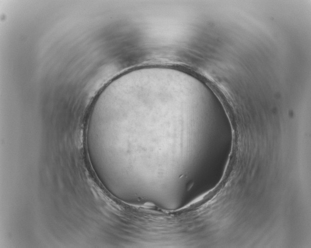 X0000088911459200706291517