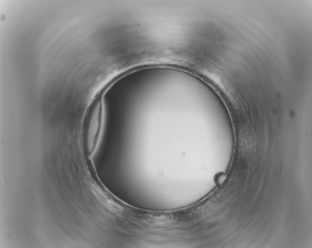 X0000088911460200706291517