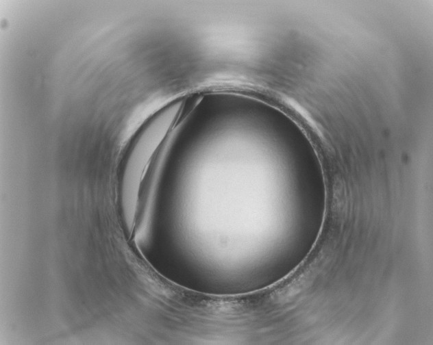 X0000088911461200706291517